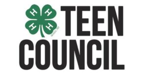 Teen Council logo image