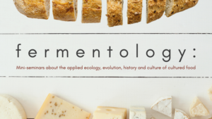 fermentology