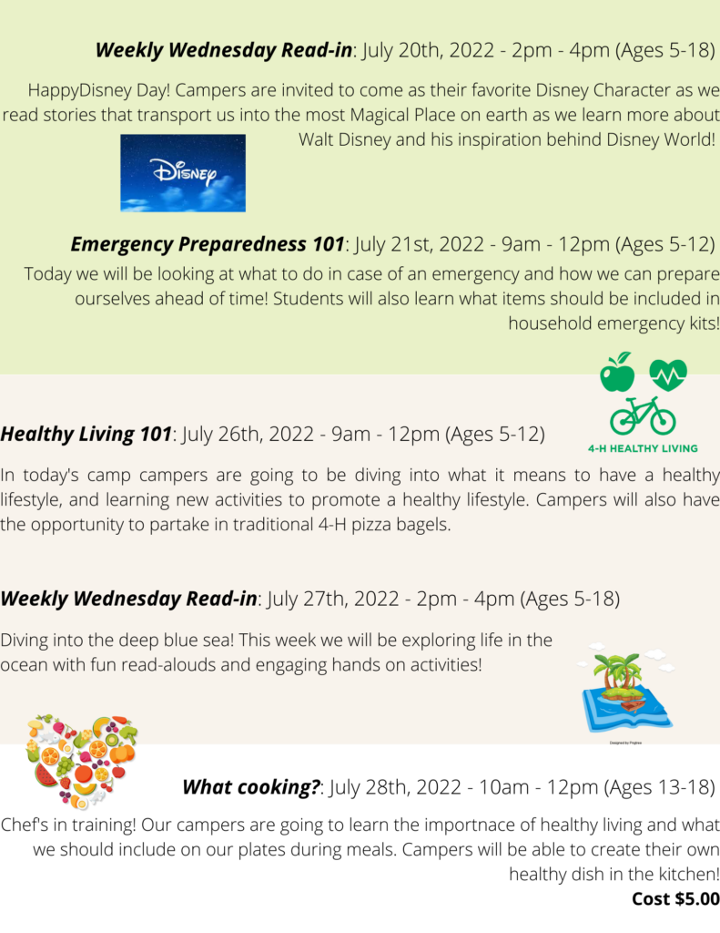 Summer fun Flyer