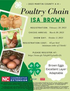 Poultry Flyer