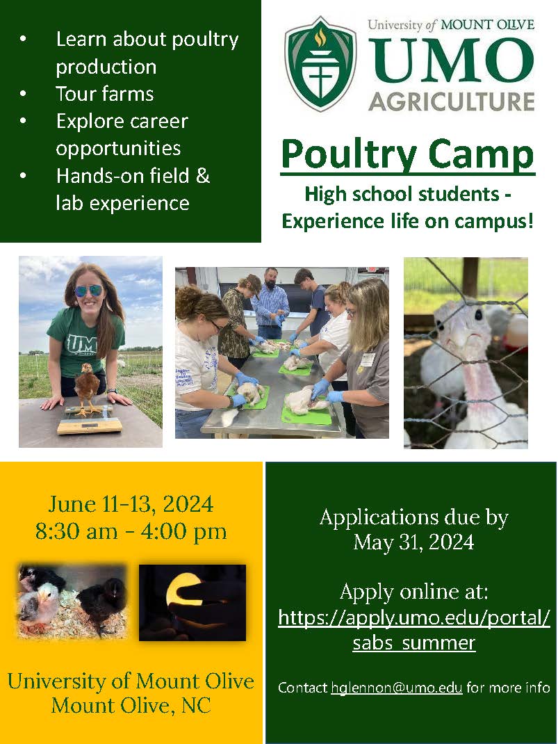 Poultry Flyer