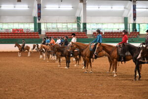 Cover photo for September 2024 NC 4-H Horse Program Newsletter