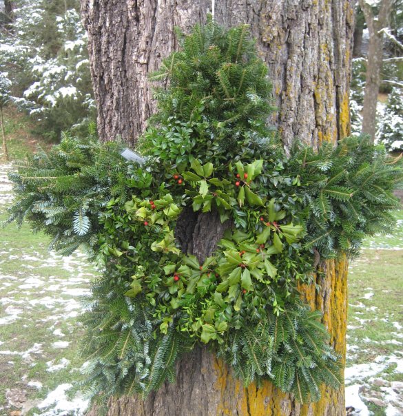 Picture of star shaped wreath.